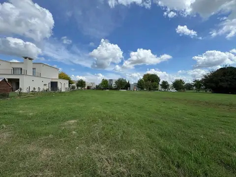 Haras Santa Maria - El Trébol Lote 1638