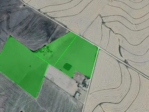 Campo en Rincon del Doll - 20,5 has con casa y mejoras