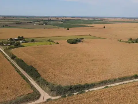 Campo en Rincon del Doll - 20,5 has con casa y mejoras
