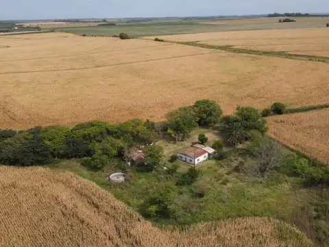 Campo en Rincon del Doll - 20,5 has con casa y mejoras