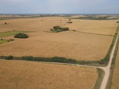 Campo en Rincon del Doll - 20,5 has con casa y mejoras