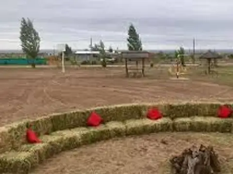 AQUÍ Y AHORA 100