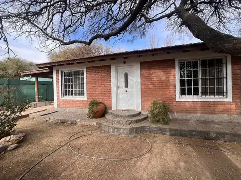 Los Tabaquillos 100