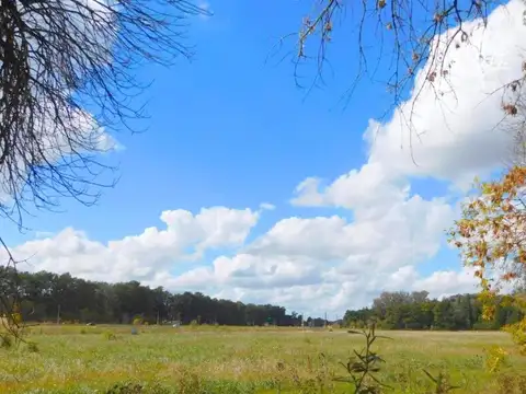 Terreno en Venta de 2941,0 m2