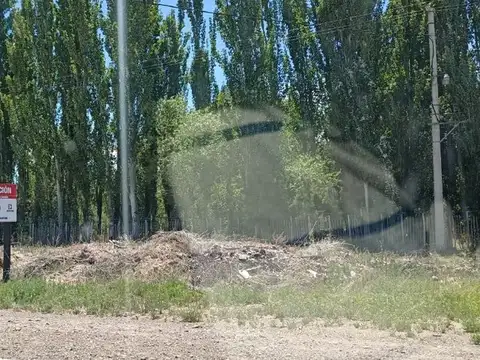 Chacra 2,69 ha con Escritura Ruta 17 Picún Leufú