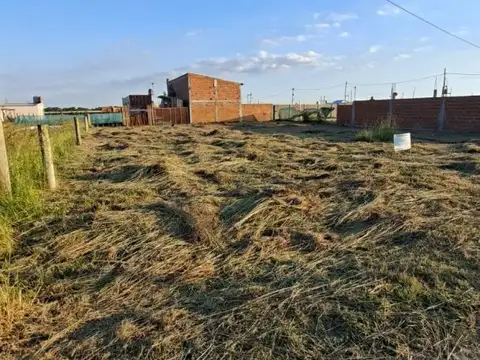 Terreno - Venta - Argentina, Domselaar