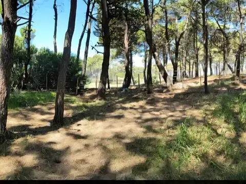 Terreno en Venta en Pinamar, USD 126.000