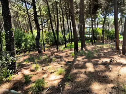 Helios, Libertador y Polifemo 500