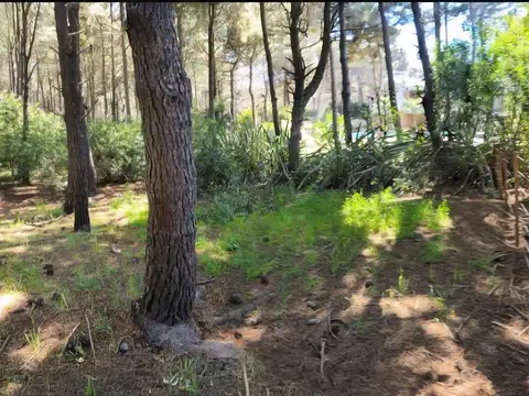 Terreno en Venta de 1227,0 m2