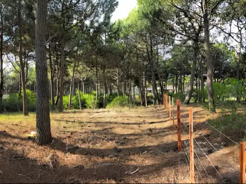 Terreno Lote  en Venta en Pinamar, Costa Atlántica, Buenos Aires
