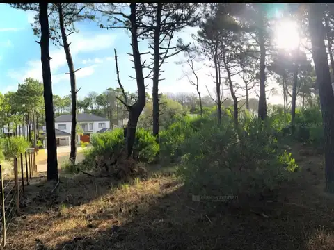 Terreno en Venta en Pinamar, USD 126.000