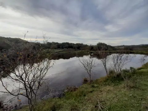 VENTA CAMPO TACUAREMBÓ 243 HECTAREAS