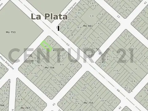 Lote 10 x 30 – 40 entre 13 y 14 – Ideal desarrollo (CC1)