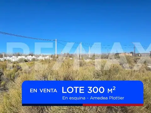 EN VENTA LOTE EN ESQUINA EN AMEDEA PLOTTIER
