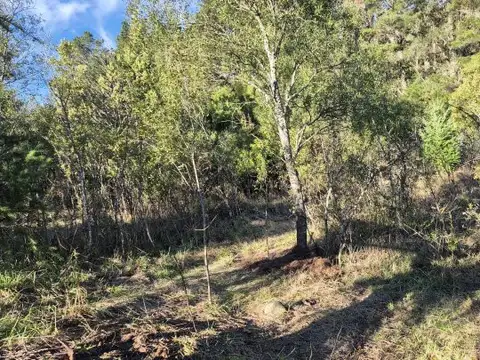 paraje entre rios ruta 16