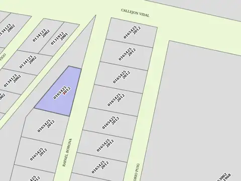 SE VENDE GRAN TERRENO EN RINCON