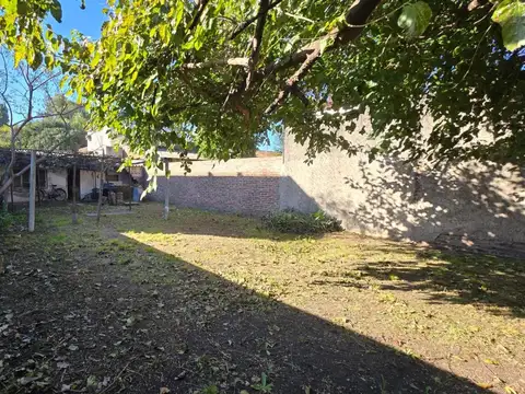 Soriano 1500
