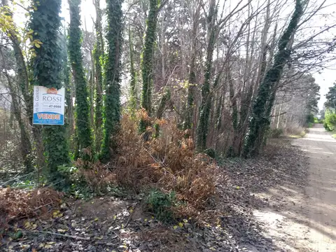 Terreno en Venta 10,50  mts Frente