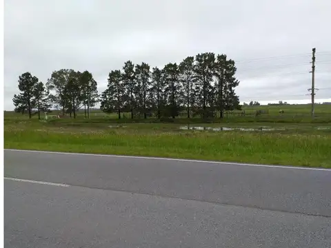 Campo en Venta de 93 Has, sobre Ruta 36, Veronica (P.Indio)