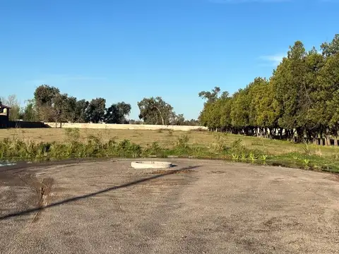 Terreno en Venta de 350,0 m2