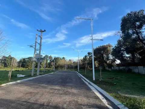 Terreno en Venta de 350,0 m2