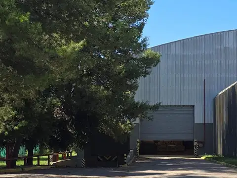 Galpon en Alquiler A Estrenar