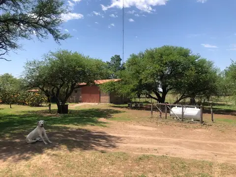 Campo en Venta de 4.500  ha