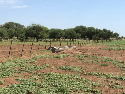 4.500 Has. Campo en San Luis