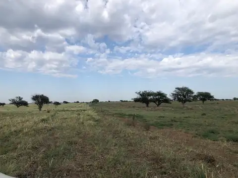 4.500 Has. Campo en San Luis