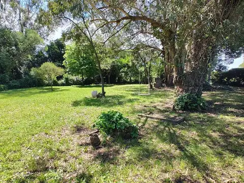 Calle C González Segura 1400