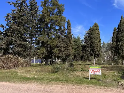 Terreno sobre Ruta 26 zona Artalaz 