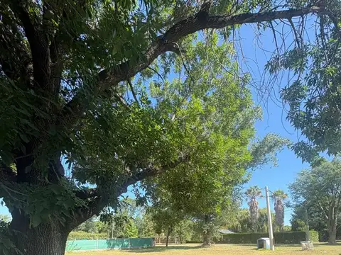 Terreno en Venta en Coronel Dominguez, USD 36.000