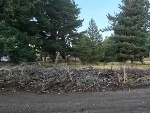 Terreno en Venta en Dina Huapi, USD 34.462