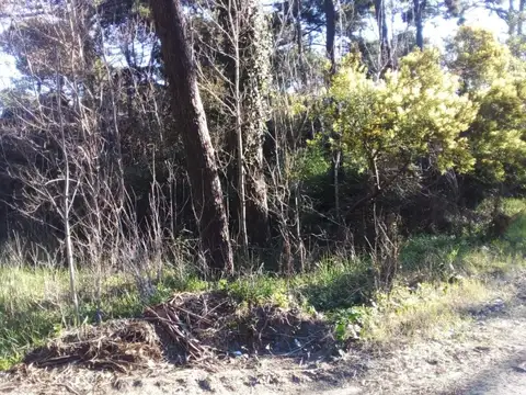 En Carilo| Lote en calle Palmera y Jilguero.