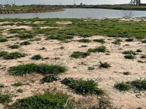 LOTE 735 M2 A LAGUNA EN SANTA CLARA AL SUR – SAN VICENTE