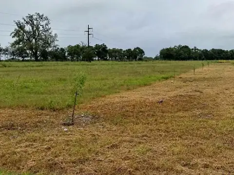 La Carlota - M 6 Lote 1