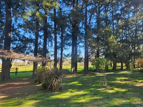 Alquiler Campo 8 Ha Apto Industrial en Pilar