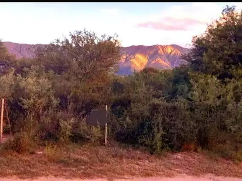 Terreno en Venta de 7800,0 m2