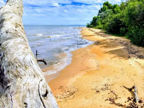VENTA DE QUINTAS NÁUTICAS EN ESTANCIA LA NEGRA
