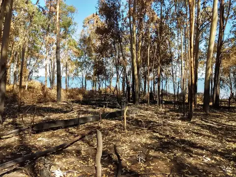 Terreno en Venta 120  mts Fondo