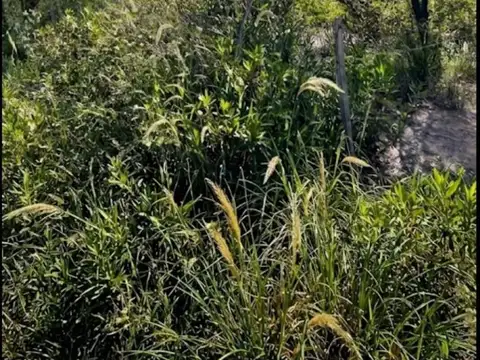 Aristóbulo del Valle 400