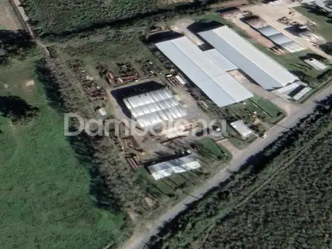 Camino de la Costa Brava 100