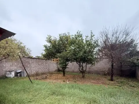 Santa Elena 100
