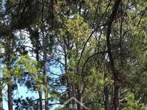 Terreno Lote  en Venta en Barrio Parque Los Pinos, Exaltación de la Cruz, G.B.A. Zona Norte