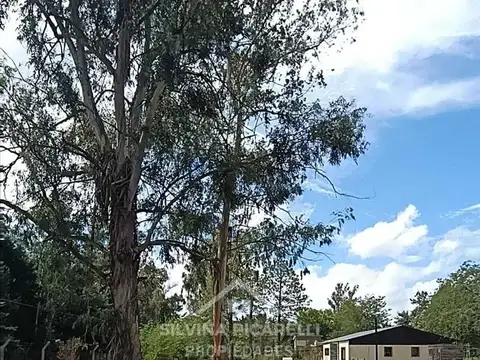 Terreno en Venta en Los Pinos, USD 26.000