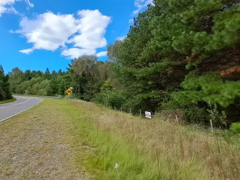 Villa Berna. Terrenos a la ruta