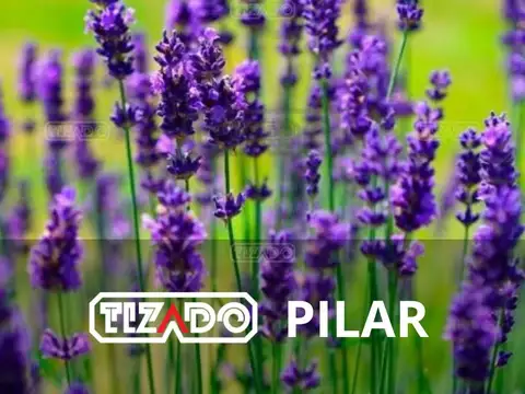 Terreno Lote  en Venta ubicado en La Estela, Pilar, G.B.A. Zona Norte