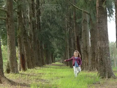 Terreno en Venta de 620,0 m2