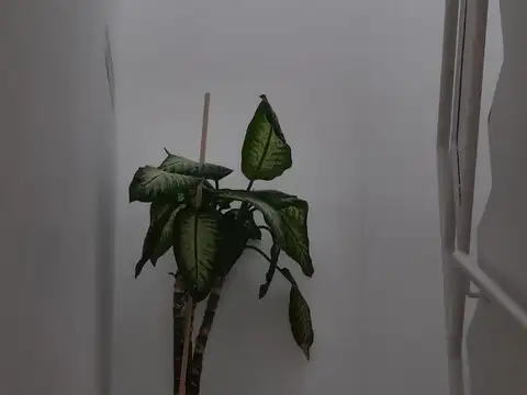 Mosconi 169 Zona Centro