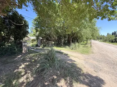 República de Irlanda 4100, Piso 0